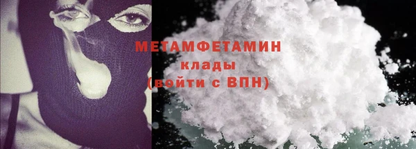 прущие грибы Новодвинск
