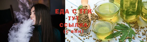прущие грибы Новодвинск