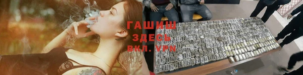 прущие грибы Новодвинск