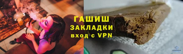 прущие грибы Новодвинск