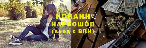 таблы Новозыбков