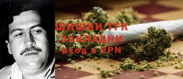 прущие грибы Новодвинск