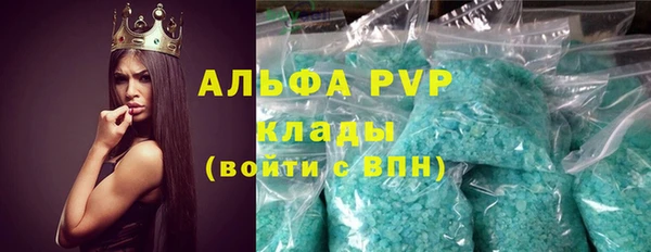 прущие грибы Новодвинск