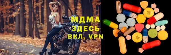 прущие грибы Новодвинск