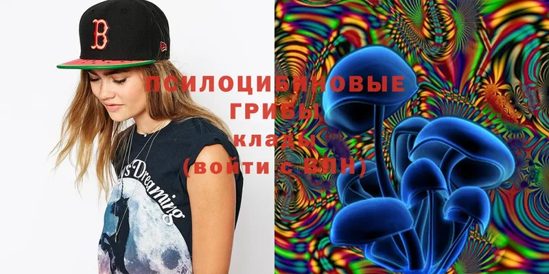 Галлюциногенные грибы Cubensis  закладки  Кремёнки 